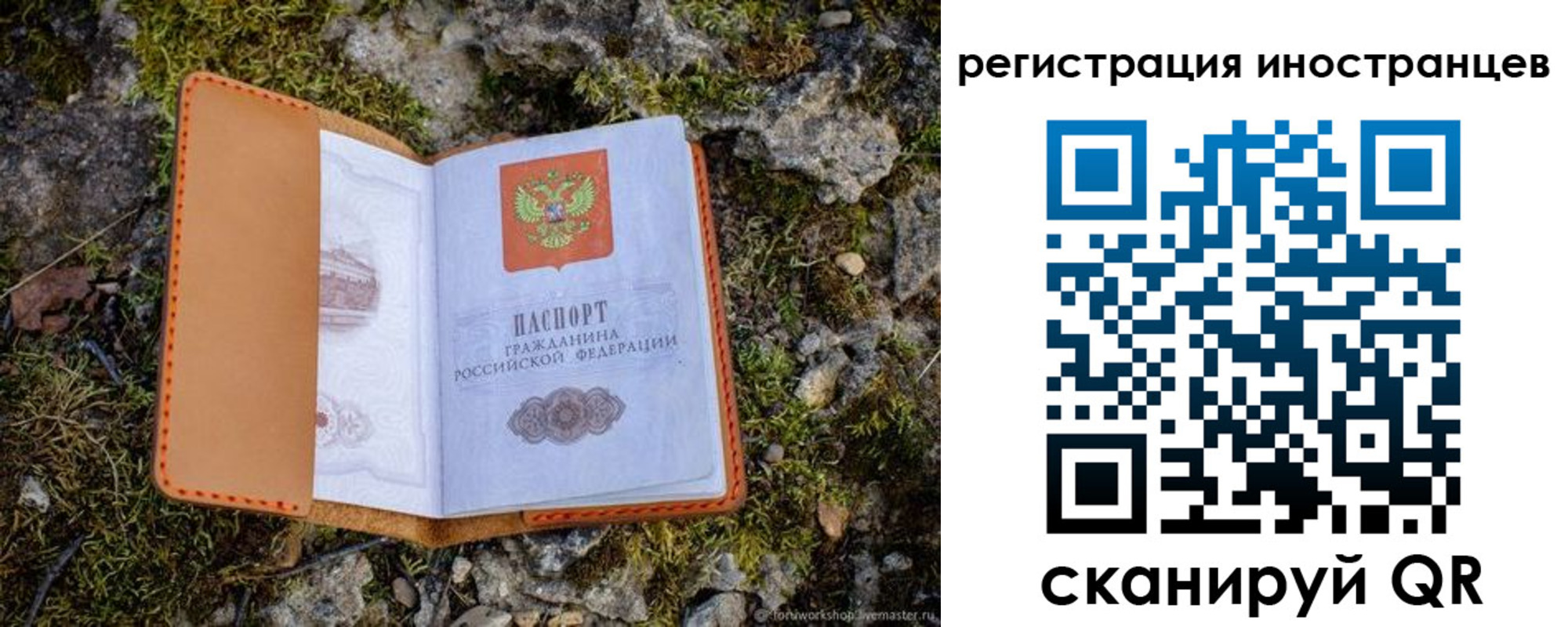 прописка паспорт в Сальске